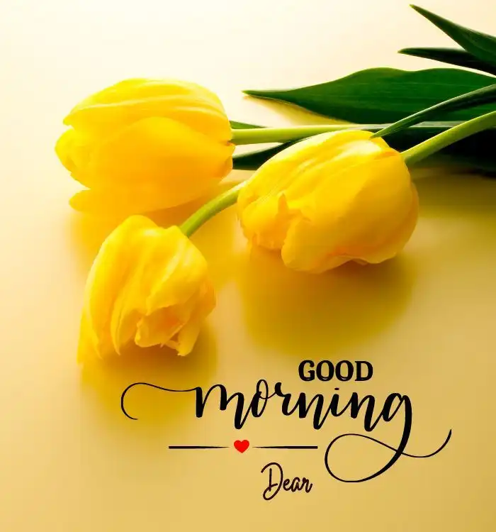 good morning wallpaper